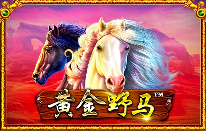 B体育网页版在线登录官网