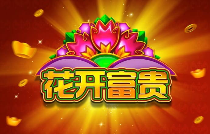 解民新